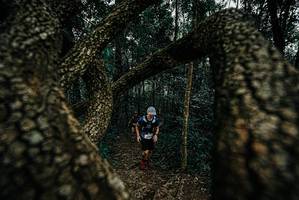 BIB: 
                            <button type="button" onclick="openModal(25673141)" class="btn btn-primary btn-sm float-right btn-popup" data-toggle="modal" data-target=".modal-high-quality">
                        <i class="fas fa-shopping-cart"></i> Add to Cart
                    </button>
                                            <button type="button" onclick="isThisMe(25673141, true)" class="btn btn-success btn-sm float-right btn-popup btn-isme hidden" data-toggle="tooltip" data-placement="bottom" title="นี่คือรูปของคุณใช่ไหม คลิกที่นี่เพื่อเอาเข้าอัลบั้ม">
                        <i class="fas fa-plus"></i> Add to album
                    </button>
                    <button type="button" onclick="isThisMe(25673141, false)" class="btn btn-warning btn-sm float-right btn-popup btn-isnotme hidden">
                        <i class="fas fa-ban"></i> Remove from album
                    </button>